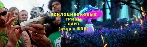 jwh Аркадак